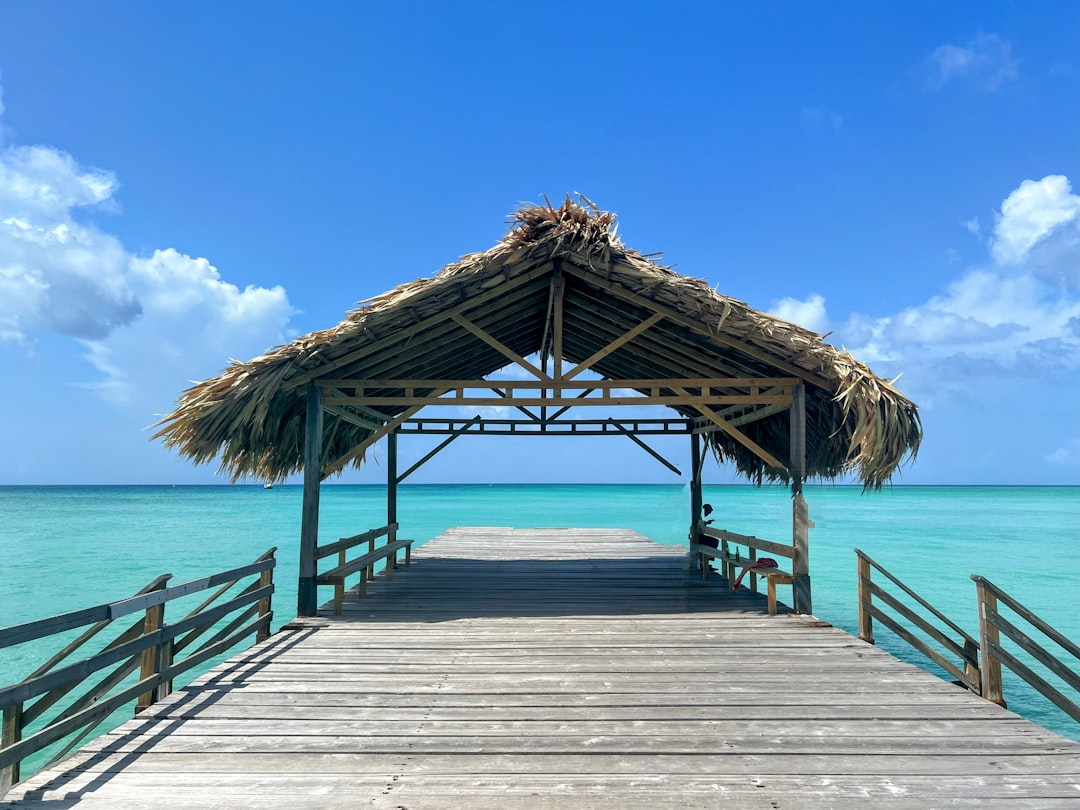 Tropical Beach Resort